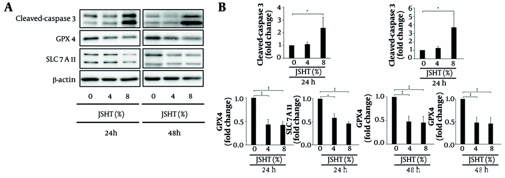 Effects of Jing-Si Herbal Tea (JSHT) on apoptosis- and ferroptosis-related proteins in human proximal tubule epithelial (HK-2) cells; A, western blot analysis of cleaved caspase-3, glutathione peroxidase 4 (GPX4), and solute carrier family 7 member 11 (SLC7A11) expression following treatment with JSHT (0%, 4%, and 8%) for 24 and 48 hours, β-actin was used as a loading control; B, quantification of protein expression levels, normalized to β-actin, is presented as fold change compared to untreated controls; JSHT significantly upregulated cleaved caspase-3 and downregulated GPX4 and SLC7A11 in a concentration-dependent manner (values represent mean ± SD of three independent experiments; * P < 0.05 and ** P < 0.01). Effects of Jing-Si Herbal Tea (JSHT) on apoptosis- and ferroptosis-related proteins in human proximal tubule epithelial (HK-2) cells; A, western blot analysis of cleaved caspase-3, glutathione peroxidase 4 (GPX4), and solute carrier family 7 member 11 (SLC7A11) expression following treatment with JSHT (0%, 4%, and 8%) for 24 and 48 hours, β-actin was used as a loading control; B, quantification of protein expression levels, normalized to β-actin, is presented as fold change compared to untreated controls; JSHT significantly upregulated cleaved caspase-3 and downregulated GPX4 and SLC7A11 in a concentration-dependent manner (values represent mean ± SD of three independent experiments; * P < 0.05 and ** P < 0.01).