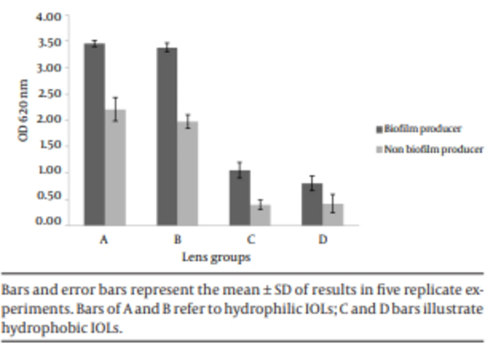 The Mean Optical Density of Each Brand of IOLs Which Stained With 1% Crystal Violet After Exposure to Bacterial Strains Bars and error bars represent the mean ± SD of results in five replicate experiments. Bars of A and B refer to hydrophilic IOLs; C and D bars illustrate hydrophobic IOLs.