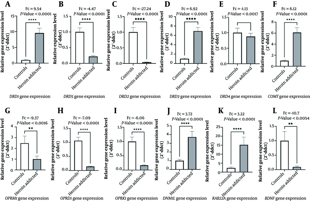 The bar chart presents the relative gene expression levels of heroin addicts (n = 80) and control (n = 80). Error bars represent the standard error of SEM. *P < 0.05, **P < 0.01, ***P < 0.001. Data are normalized to <i>β-actin</i>. The bar chart presents the relative gene expression levels of heroin addicts (n = 80) and control (n = 80). Error bars represent the standard error of SEM. *P < 0.05, **P < 0.01, ***P < 0.001. Data are normalized to <i>β-actin</i>.
