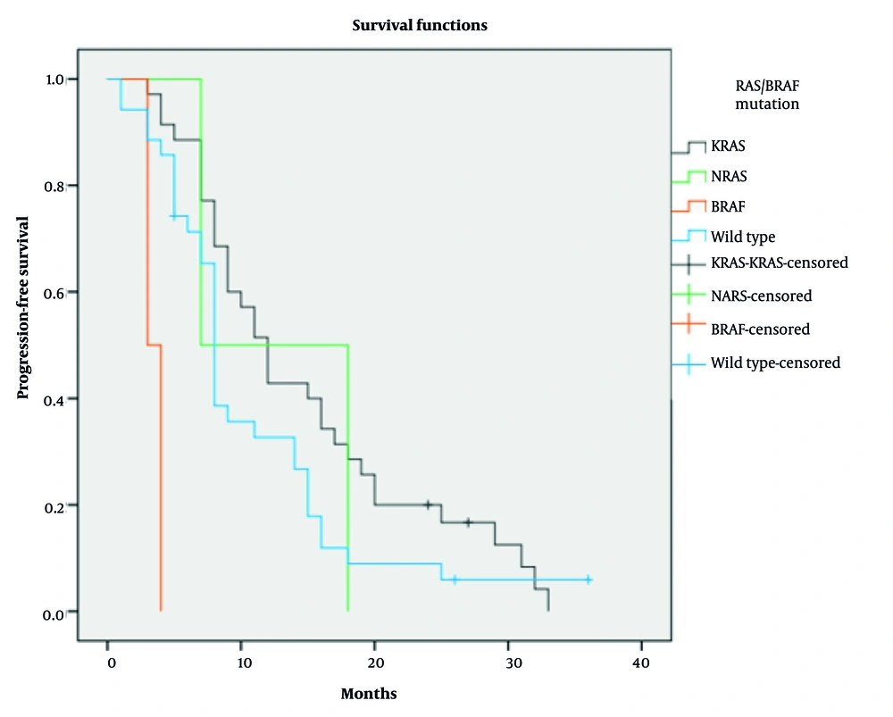 Progression-free survival (PFS) of patients with different subtypes of RAS/BRAFV600E mutation Progression-free survival (PFS) of patients with different subtypes of RAS/BRAFV600E mutation