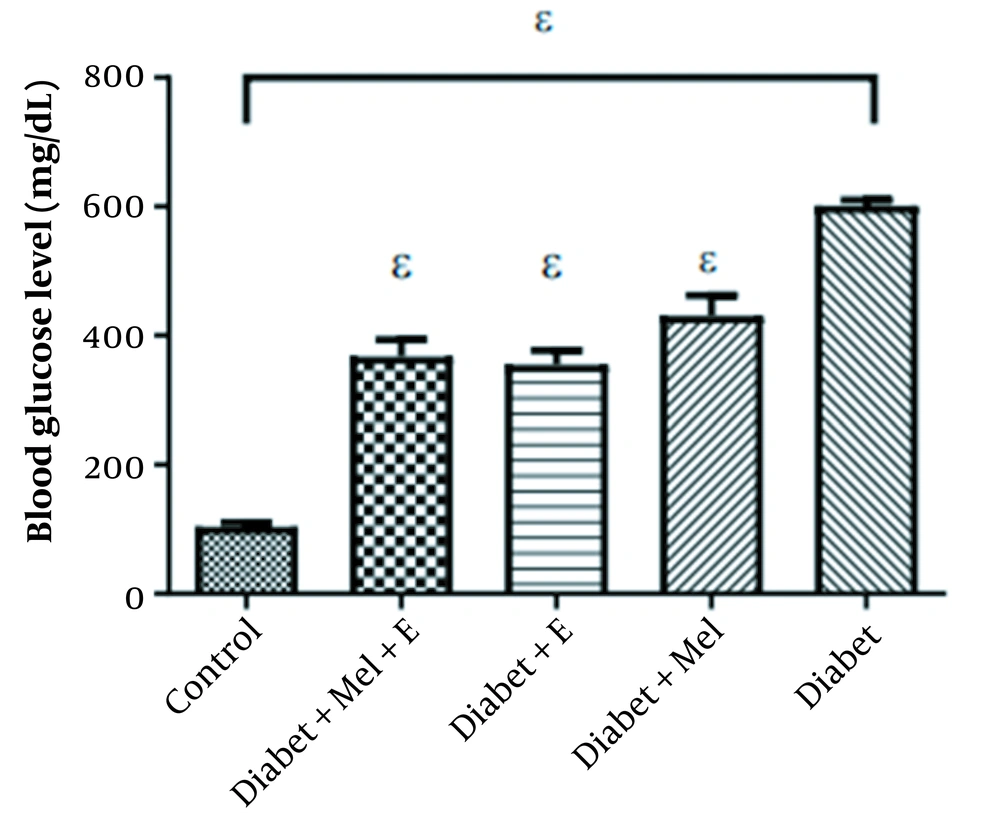 Comparison of mean changes in blood glucose levels between rats of different groups. ε: Significant difference from the diabetes group (P ≤ 0.05). E, Exercise; Mel, Melatonin Comparison of mean changes in blood glucose levels between rats of different groups. ε: Significant difference from the diabetes group (P ≤ 0.05). E, Exercise; Mel, Melatonin