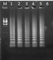 Ann Mil Health Sci Res