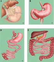 Fertil Gynecol Androl