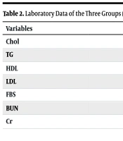 Int Cardiovasc Res J