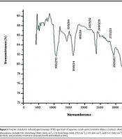 Jentashapir J Cell Mol Biol