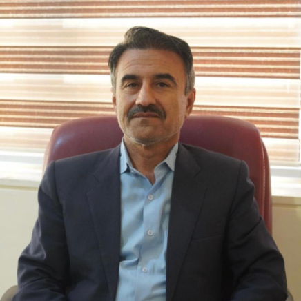 Alireza Ansari Moghaddam