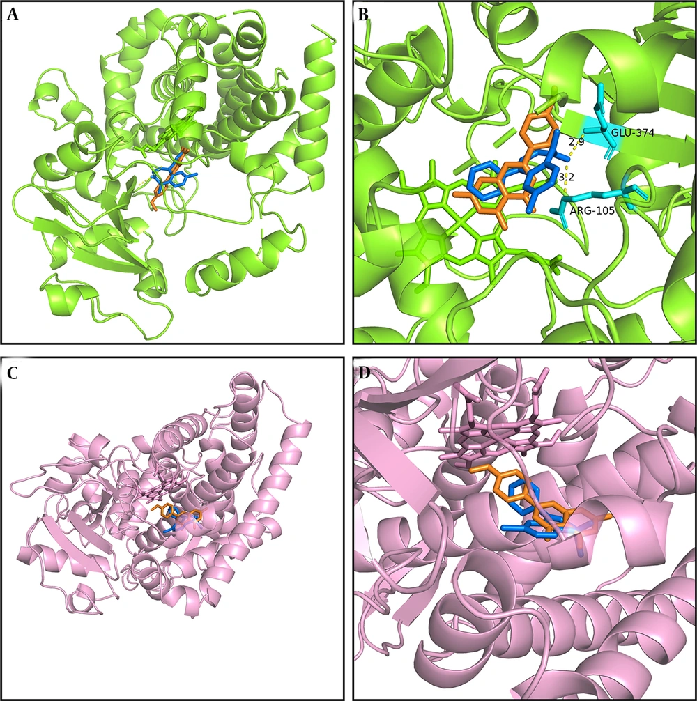 Molecular docking scheme for diazepam and acacetin: Action site between acacetin and cytochrome P450 3A4 (CYP3A4), formed via hydrogen bonding (A); enlarged region of A (B); action site between acacetin and cytochrome P450 2C19 (CYP2C19) (C); and enlarged region of C (D). Blue represents diazepam, and orange represents acacetin. Molecular docking scheme for diazepam and acacetin: Action site between acacetin and cytochrome P450 3A4 (CYP3A4), formed via hydrogen bonding (A); enlarged region of A (B); action site between acacetin and cytochrome P450 2C19 (CYP2C19) (C); and enlarged region of C (D). Blue represents diazepam, and orange represents acacetin.