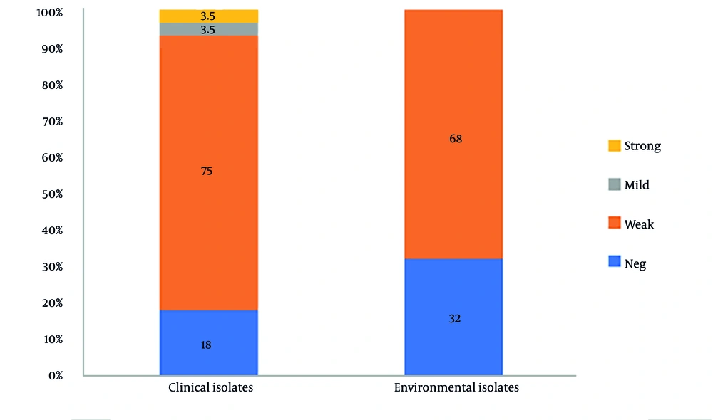 Biofilm formation in clinical and environmental isolates from <i>Aspergillus flavus</i>. Biofilm formation in clinical and environmental isolates from <i>Aspergillus flavus</i>.