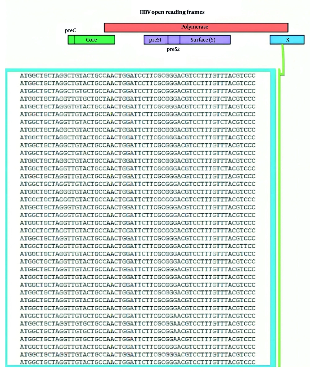 Multiple sequence alignment of hepatitis B virus X (HBX) gene in different hepatitis B virus (HBV) genotypes by using ClustalW software Multiple sequence alignment of hepatitis B virus X (HBX) gene in different hepatitis B virus (HBV) genotypes by using ClustalW software