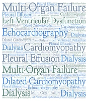 Multidiscip Cardio Annal