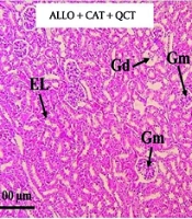 Jundishapur J Nat Pharm Prod
