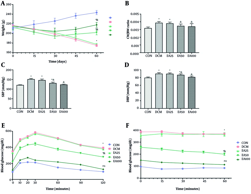 Effects of ellagic acid (EA) on physical, biochemical, and cardiac markers in experimental groups over 60 days: A, mean body weight; B, cardiac weight-to-body weight (CW/BW) ratio; C, systolic blood pressure (SBP); D, diastolic blood pressure (DBP); E, GTT; and F, ITT of rats in control (CON), diabetic cardiomyopathy (DCM), and EA-treated diabetic groups (EA25, EA50, EA100). Different symbols (* and &) indicate significant differences (P < 0.05) while shared letters denote no significant difference. Groups that do not share a common letter are significantly different. Effects of ellagic acid (EA) on physical, biochemical, and cardiac markers in experimental groups over 60 days: A, mean body weight; B, cardiac weight-to-body weight (CW/BW) ratio; C, systolic blood pressure (SBP); D, diastolic blood pressure (DBP); E, GTT; and F, ITT of rats in control (CON), diabetic cardiomyopathy (DCM), and EA-treated diabetic groups (EA25, EA50, EA100). Different symbols (* and &) indicate significant differences (P < 0.05) while shared letters denote no significant difference. Groups that do not share a common letter are significantly different.