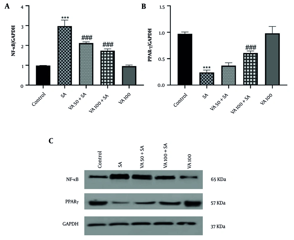 Effects of vanillic acid (VA) on the expression of A, nuclear factor kappa B (NF-κB); and B, peroxisome proliferator-activated receptor gamma (PPARγ); and C, western blot bonds in cardiotoxicity (CTX) induced by sodium arsenite (SA) in mice. Significant difference compared to the control group (*** P < 0.001). Significant difference compared to the SA group (### P < 0.001). Effects of vanillic acid (VA) on the expression of A, nuclear factor kappa B (NF-κB); and B, peroxisome proliferator-activated receptor gamma (PPARγ); and C, western blot bonds in cardiotoxicity (CTX) induced by sodium arsenite (SA) in mice. Significant difference compared to the control group (*** P < 0.001). Significant difference compared to the SA group (### P < 0.001).