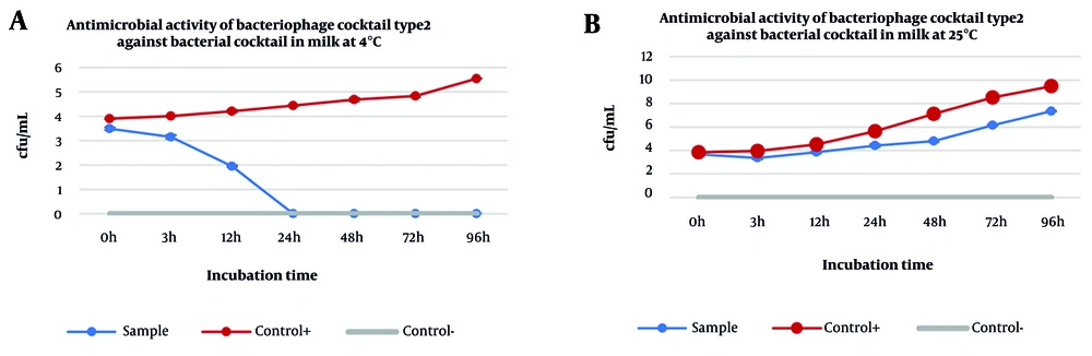 Efficacy of phage cocktail type 2 (Phps1 + Phps4) against a bacterial cocktail (<i>Pseudomonas aeruginosa</i> and <i>P.</i><i>gessardii</i>): A, antimicrobial activity of the phage cocktail in pasteurized milk at 4°C; and B, antimicrobial activity of the same cocktail at 25°C. The phage cocktail completely eliminated the bacterial population within 24 hours at 4°C, with no regrowth observed up to 96 hours. In contrast, at 25°C, bacterial counts gradually increased despite the presence of bacteriophages, although levels remained consistently lower than the positive control. Efficacy of phage cocktail type 2 (Phps1 + Phps4) against a bacterial cocktail (<i>Pseudomonas aeruginosa</i> and <i>P.</i><i>gessardii</i>): A, antimicrobial activity of the phage cocktail in pasteurized milk at 4°C; and B, antimicrobial activity of the same cocktail at 25°C. The phage cocktail completely eliminated the bacterial population within 24 hours at 4°C, with no regrowth observed up to 96 hours. In contrast, at 25°C, bacterial counts gradually increased despite the presence of bacteriophages, although levels remained consistently lower than the positive control.