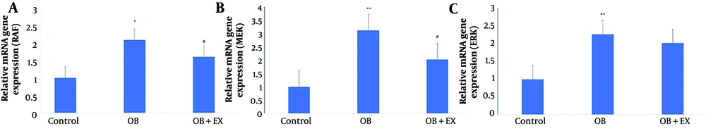 Comparison of rapidly accelerated fibrosarcoma (RAF) (A), mitogen-activated protein kinase (MEK) (B), and extracellular signal-regulated kinase (ERK) (C) gene expression levels among the control, obese (OB), and obese with aerobic exercise (OB+EX) groups (data are presented as mean ± SEM; group comparisons were performed using one-way ANOVA and HSD; * P < 0.05 and ** P < 0.001 vs. control; # P < 0.05 vs. OB group). Comparison of rapidly accelerated fibrosarcoma (RAF) (A), mitogen-activated protein kinase (MEK) (B), and extracellular signal-regulated kinase (ERK) (C) gene expression levels among the control, obese (OB), and obese with aerobic exercise (OB+EX) groups (data are presented as mean ± SEM; group comparisons were performed using one-way ANOVA and HSD; * P < 0.05 and ** P < 0.001 vs. control; # P < 0.05 vs. OB group).