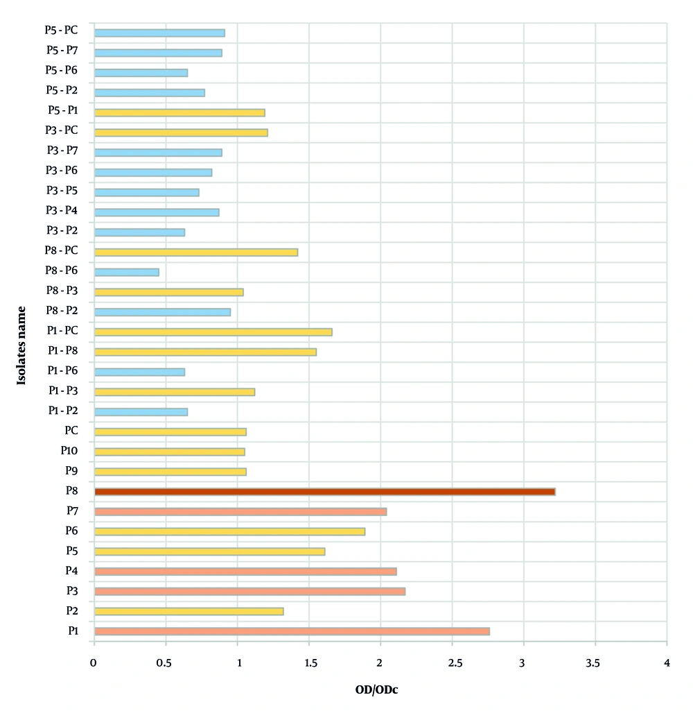 Biofilm formation capacities of <i>Pseudomonas aeruginosa</i> isolates in mono- and co-cultures Biofilm formation capacities of <i>Pseudomonas aeruginosa</i> isolates in mono- and co-cultures