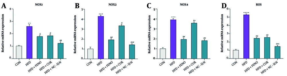 Expression of genes related to antioxidant defenses and reactive oxygen species (ROS) levels in liver tissue. A - C, the relative mRNA expression of nicotinamide adenine dinucleotide phosphate (NADPH) oxidase 1 (NOX1), NADPH oxidase 2 (NOX2), and NADPH oxidase 4 (NOX4) was measured using real-time polymerase chain reaction (PCR) and normalized to glyceraldehyde 3-phosphate dehydrogenase (GAPDH) as the internal control (CON); D, the levels of ROS were assessed before and after treatment with fenofibrate, curcumin, and nanocurcumin. Statistical significance compared to the control group is indicated by * P < 0.05, ** P < 0.01, *** P < 0.001, **** P < 0.0001; significance versus the high-fat diet (HFD) group is indicated by # P < 0.05, ## P < 0.01, ### P < 0.001. Expression of genes related to antioxidant defenses and reactive oxygen species (ROS) levels in liver tissue. A - C, the relative mRNA expression of nicotinamide adenine dinucleotide phosphate (NADPH) oxidase 1 (NOX1), NADPH oxidase 2 (NOX2), and NADPH oxidase 4 (NOX4) was measured using real-time polymerase chain reaction (PCR) and normalized to glyceraldehyde 3-phosphate dehydrogenase (GAPDH) as the internal control (CON); D, the levels of ROS were assessed before and after treatment with fenofibrate, curcumin, and nanocurcumin. Statistical significance compared to the control group is indicated by * P < 0.05, ** P < 0.01, *** P < 0.001, **** P < 0.0001; significance versus the high-fat diet (HFD) group is indicated by # P < 0.05, ## P < 0.01, ### P < 0.001.