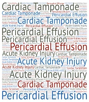 Int Cardiovasc Res J