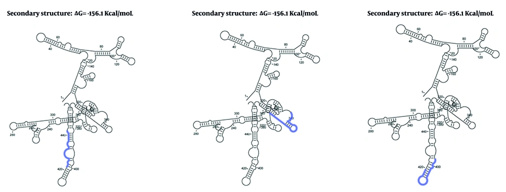 Short hairpin RNA (shRNA) target sites (blue) on the hepatitis B virus X (HBX) gene messenger RNA (mRNA) secondary structure predicted using CLC Genomics Workbench software Short hairpin RNA (shRNA) target sites (blue) on the hepatitis B virus X (HBX) gene messenger RNA (mRNA) secondary structure predicted using CLC Genomics Workbench software