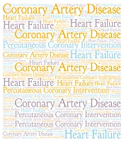 Multidiscip Cardio Annal