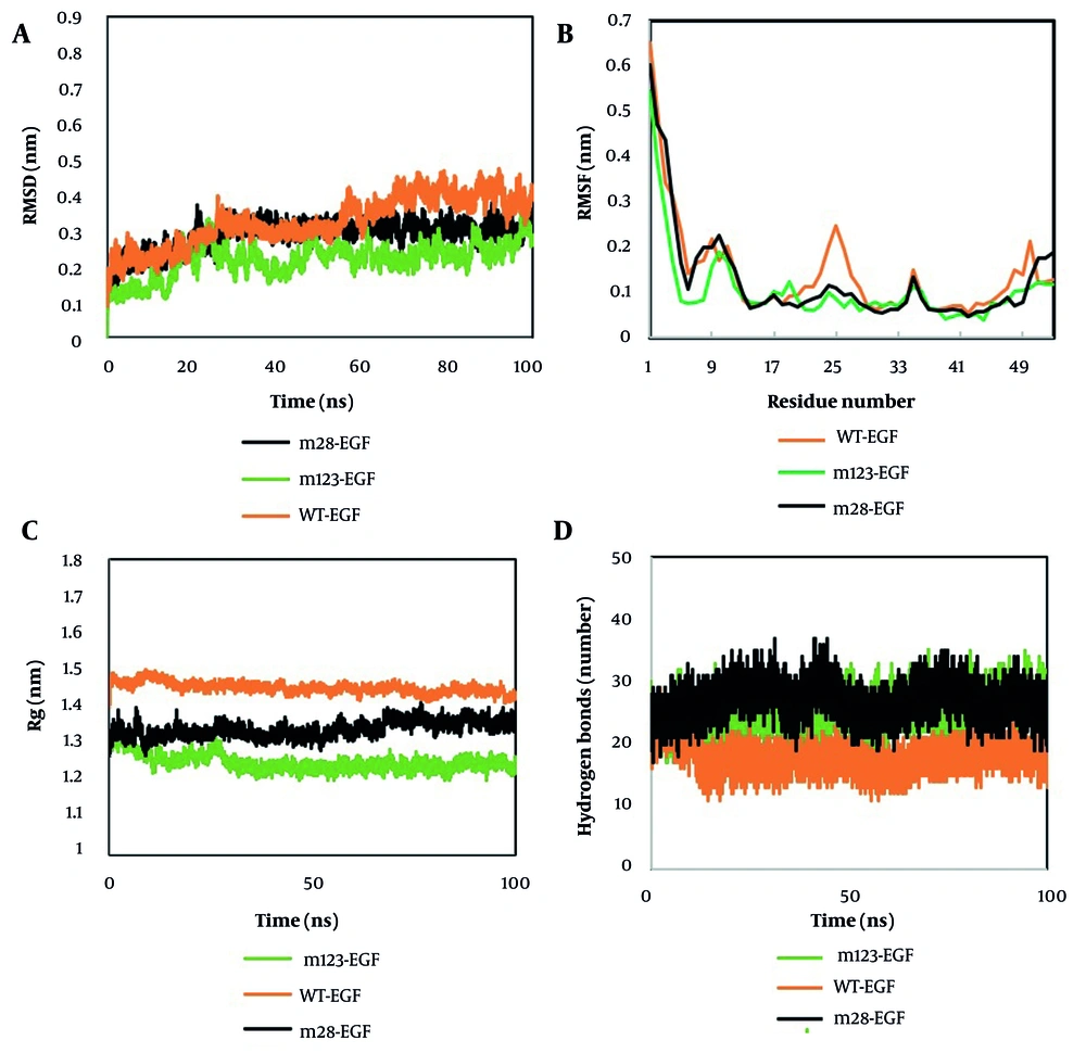 A, RMSD; B, RMSF; C, Rg; and D, hydrogen bond profiles of wild-type and mutant epidermal growth factor (EGF) structures over a 100 ns simulation. A, RMSD; B, RMSF; C, Rg; and D, hydrogen bond profiles of wild-type and mutant epidermal growth factor (EGF) structures over a 100 ns simulation.