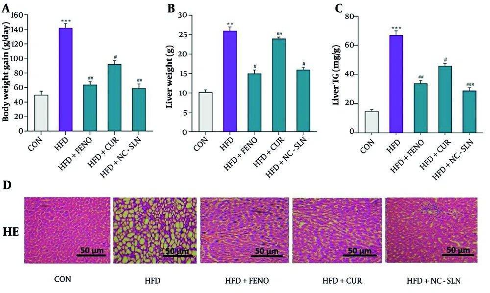 Effects of treatments on body weight, liver index, hepatic triglyceride levels, and liver histology. A, body weight; B, Liver Index (liver weight/body weight); and C, hepatic triglyceride content were markedly elevated in the high-fat diet (HFD) group compared with the control (CON). These parameters were significantly reduced following treatment with fenofibrate, curcumin, or nanocurcumin; D, representative hematoxylin and eosin (H&E)-stained liver sections showing hepatic architecture and lipid accumulation across groups (magnification: 400×; scale bar: 50 µm). FENO = fenofibrate; CUR = curcumin; NCSLN = nanocurcumin; CON = control. Data are expressed as mean ± SEM. ** P < 0.01, *** P < 0.001 vs. CON; # P < 0.05, ## P < 0.01, ### P < 0.001 vs. HFD. Effects of treatments on body weight, liver index, hepatic triglyceride levels, and liver histology. A, body weight; B, Liver Index (liver weight/body weight); and C, hepatic triglyceride content were markedly elevated in the high-fat diet (HFD) group compared with the control (CON). These parameters were significantly reduced following treatment with fenofibrate, curcumin, or nanocurcumin; D, representative hematoxylin and eosin (H&E)-stained liver sections showing hepatic architecture and lipid accumulation across groups (magnification: 400×; scale bar: 50 µm). FENO = fenofibrate; CUR = curcumin; NCSLN = nanocurcumin; CON = control. Data are expressed as mean ± SEM. ** P < 0.01, *** P < 0.001 vs. CON; # P < 0.05, ## P < 0.01, ### P < 0.001 vs. HFD.