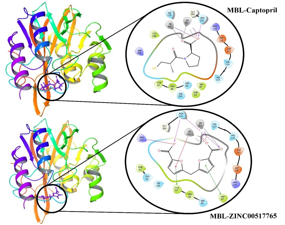 Interaction of ZINC00517765 and captopril with the VIM-2 MBL active site before simulation Interaction of ZINC00517765 and captopril with the VIM-2 MBL active site before simulation