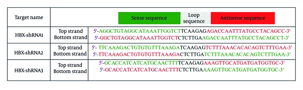 Characteristics of the short hairpin RNAs (shRNAs) with the highest score Characteristics of the short hairpin RNAs (shRNAs) with the highest score