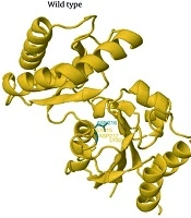Zahedan J Res Med Sci