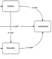 Int J High Risk Behav Addict