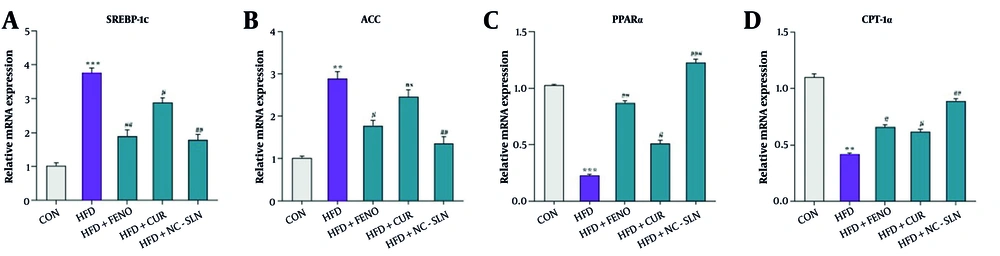Hepatic gene expression related to lipid metabolism following treatment with fenofibrate, curcumin, and nanocurcumin. A, sterol regulatory element-binding protein 1c (SREBP-1c); B, acetyl-CoA carboxylase (ACC); C, peroxisome proliferator-activated receptor alpha (PPARα); and D, carnitine palmitoyltransferase 1 alpha (CPT-1α) mRNA levels were measured by quantitative polymerase chain reaction (qPCR) and normalized to glyceraldehyde 3-phosphate dehydrogenase (GAPDH). Expression fold changes were calculated using the 2<sup>-ΔΔCT</sup> method. Significant differences vs. control: ** P < 0.01, *** P < 0.001; vs. HFD group: # P < 0.05, ## P < 0.01, ### P < 0.001. Hepatic gene expression related to lipid metabolism following treatment with fenofibrate, curcumin, and nanocurcumin. A, sterol regulatory element-binding protein 1c (SREBP-1c); B, acetyl-CoA carboxylase (ACC); C, peroxisome proliferator-activated receptor alpha (PPARα); and D, carnitine palmitoyltransferase 1 alpha (CPT-1α) mRNA levels were measured by quantitative polymerase chain reaction (qPCR) and normalized to glyceraldehyde 3-phosphate dehydrogenase (GAPDH). Expression fold changes were calculated using the 2<sup>-ΔΔCT</sup> method. Significant differences vs. control: ** P < 0.01, *** P < 0.001; vs. HFD group: # P < 0.05, ## P < 0.01, ### P < 0.001.