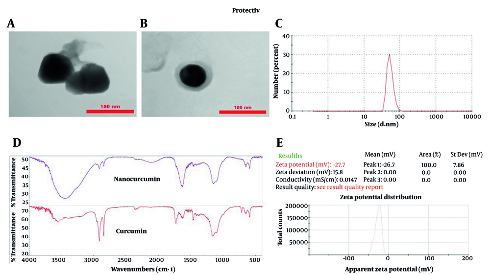 A and B, Transmission electron microscopy (TEM) micrographs of nanocurcumin-loaded solid lipid nanoparticles (NC-SLNs), demonstrating spherical morphology and structural integrity. Magnification: A, ~70,000×; and B, ~100,000×. Scale bars: A, 150 nm; and B, 100 nm; C, size distribution of NC-SLNs measured by dynamic light scattering (DLS); D, fourier-transform infrared spectroscopy (FTIR) spectra of curcumin and nanocurcumin, confirming the interaction of curcumin with the lipid components and supporting its successful encapsulation, with no significant structural changes observed; E, zeta potential distribution of NC-SLNs. A and B, Transmission electron microscopy (TEM) micrographs of nanocurcumin-loaded solid lipid nanoparticles (NC-SLNs), demonstrating spherical morphology and structural integrity. Magnification: A, ~70,000×; and B, ~100,000×. Scale bars: A, 150 nm; and B, 100 nm; C, size distribution of NC-SLNs measured by dynamic light scattering (DLS); D, fourier-transform infrared spectroscopy (FTIR) spectra of curcumin and nanocurcumin, confirming the interaction of curcumin with the lipid components and supporting its successful encapsulation, with no significant structural changes observed; E, zeta potential distribution of NC-SLNs.