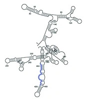 Jundishapur J Microbiol