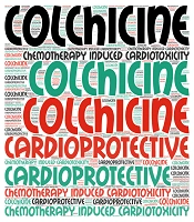 Multidiscip Cardio Annal