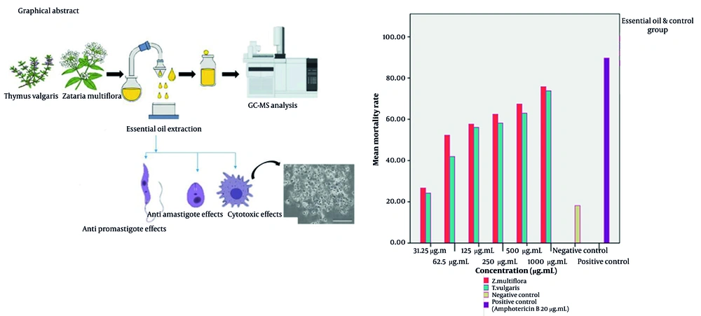 The mortality rate of <i>Leishmania major</i> promastigotes exposed to different concentrations of <i>Thymus vulgaris</i> and <i>Zataria multiflora</i> essential oils The mortality rate of <i>Leishmania major</i> promastigotes exposed to different concentrations of <i>Thymus vulgaris</i> and <i>Zataria multiflora</i> essential oils