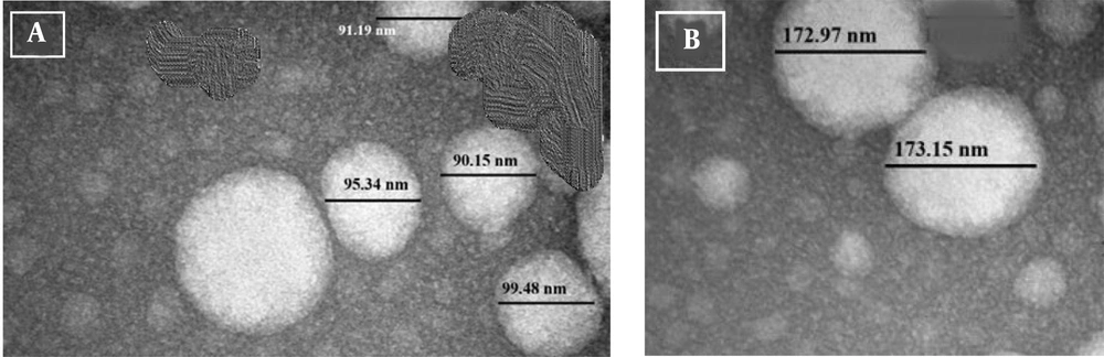 Morphology of nanoemulsion by TEM image, avocado oil-water emulsions (A); avocado oil-water emulsions with quercetin (Qu) (B). Morphology of nanoemulsion by TEM image, avocado oil-water emulsions (A); avocado oil-water emulsions with quercetin (Qu) (B).