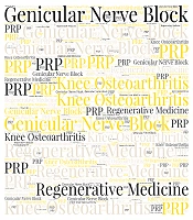 Interv Pain Med Neuromod